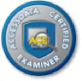 ACE Icon